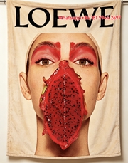 LOEWE Dragon Fruit Art Print Flannel Throw Blanket L129